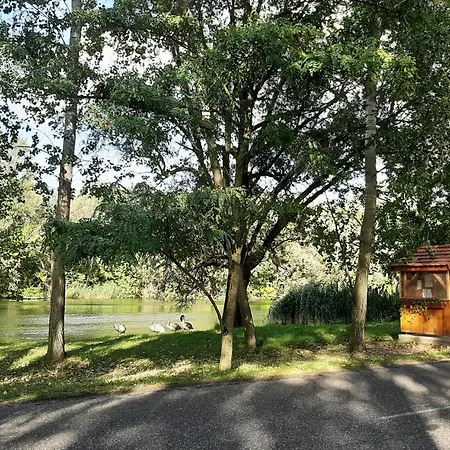 Cifrahidi Vendeghaz Guest house *